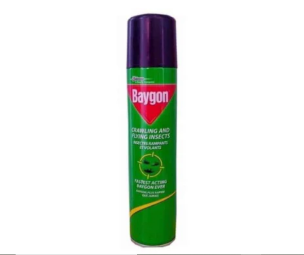 Baygon Insecticide 300 ml